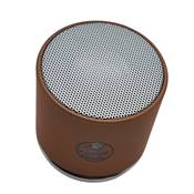 ENCEINTE DOREE