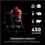 Barbecue Kamado Big Joe Konnected Joe